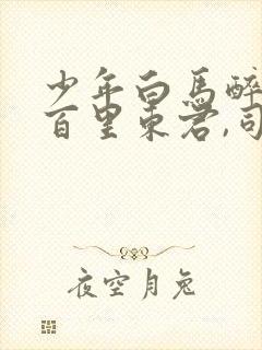 少年白马醉春风百里东君,司空长风完整版封面