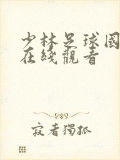 少林足球国语版在线观看