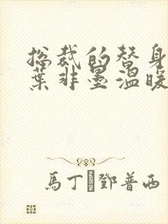 总裁的替身前妻叶非墨温暖全文免费阅读封面