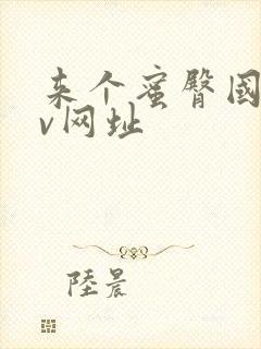 来个蜜臀国产av网址封面