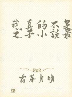 我真的不是气运之子小说最新章节