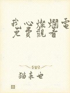 我心灿烂电视剧免费观看