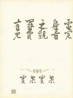 有罪之身电视剧免费观看完整版高清11封面