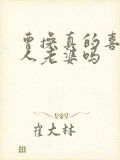 曹操真的喜欢别人老婆吗封面