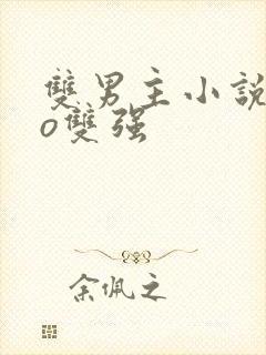 双男主小说abo双强