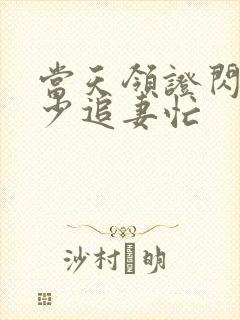 当天领证闪婚陆少追妻忙