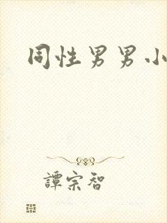 同性男男小说封面