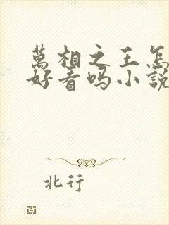 万相之王怎么样好看吗小说