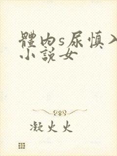 体内s尿慎入h小说女封面