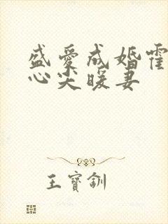 盛爱成婚霍少的心尖暖妻