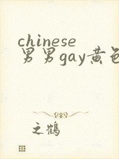 chinese男男gay黄色