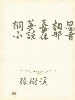 桐华长相思原著小说在哪看