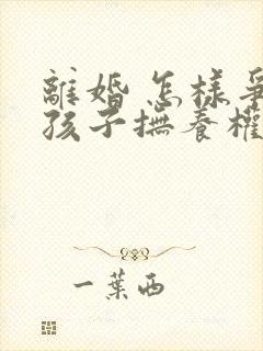 离婚 怎样争取孩子抚养权封面