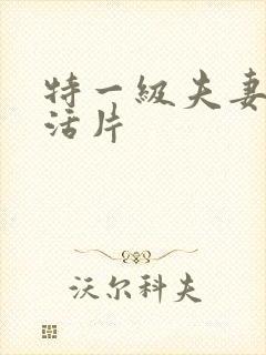 特一级夫妻性生活片