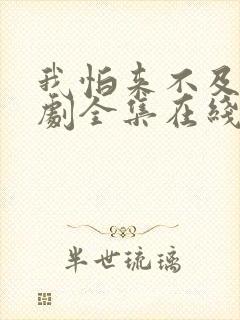 我怕来不及电视剧全集在线观看免费封面