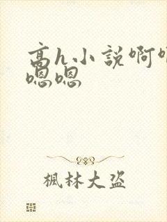 高h小说啊啊啊嗯嗯