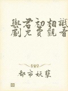 与君初相识电视剧免费观看全集在线