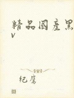 精品国产黑丝av