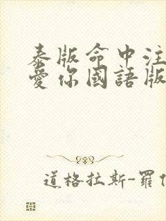 泰版命中注定我爱你国语版免费版封面