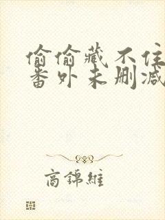 偷偷藏不住新婚番外未删减txt