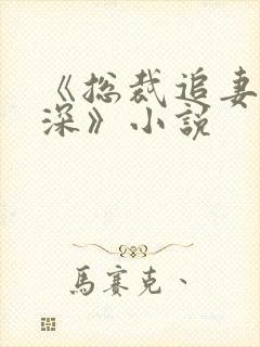 《总裁追妻套路深》小说封面