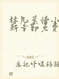 林凡叶惜小说最新章节免费阅读封面