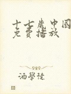 十七岁中国电影免费播放