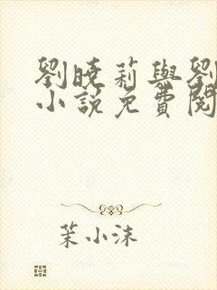 刘晓莉与刘亦菲小说免费阅读