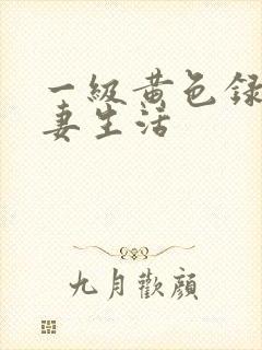 一级黄色录像夫妻生活