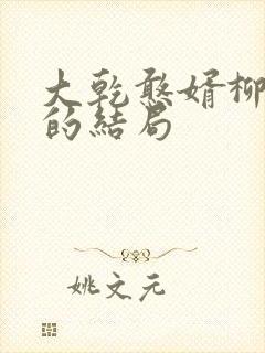 大乾憨婿柳如玉的结局封面