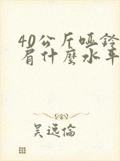 40公斤哑铃推肩什么水平