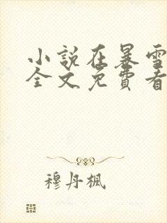 小说在暴雪时分全文免费看