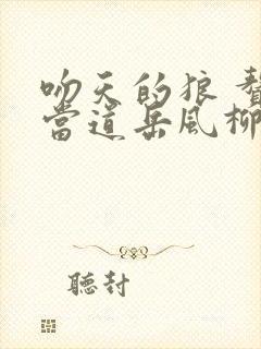 吻天的狼 赘婿当道岳风柳萱