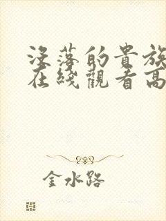 没落的贵族琉璃在线观看高清免费