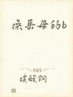 操岳母的b