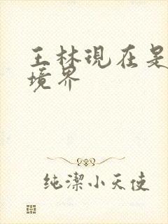 王林现在是什么境界封面