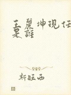 王丽坤现任丈夫是谁