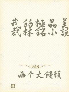 我的极品美女总裁林铭小说免费阅读