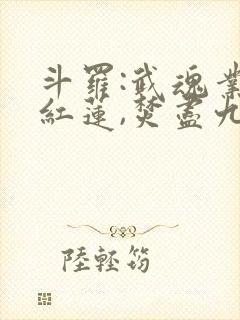 斗罗:武魂业火红莲,焚尽九天