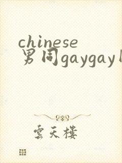 chinese男同gaygay网站
