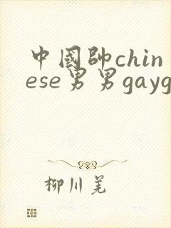 中国帅chinese男男gaygay网站封面