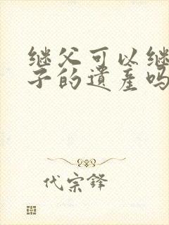 继父可以继承继子的遗产吗封面