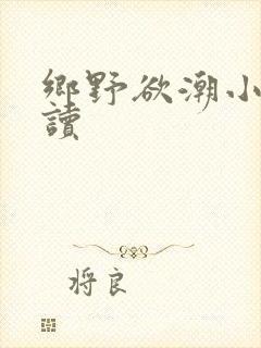 乡野欲潮小说阅读封面