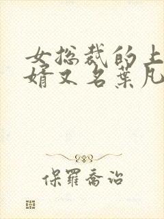 女总裁的上门女婿又名叶凡