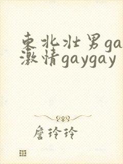 东北壮男gay激情gaygay