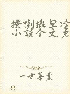 撩倒撒旦冷殿下小说全文免费阅读封面