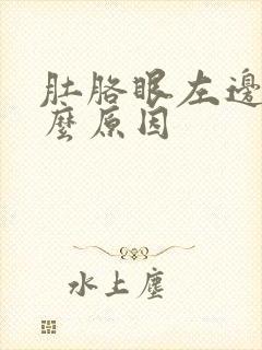 肚胳眼左边疼什么原因