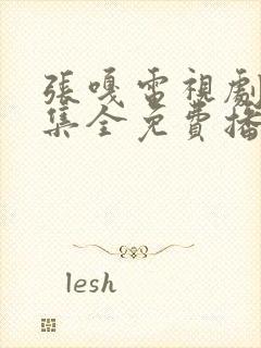 张嘎电视剧20集全免费播放封面