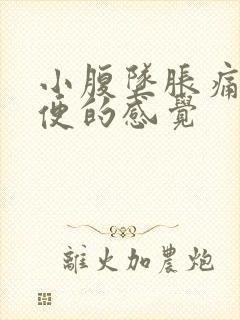 小腹坠胀痛想大便的感觉