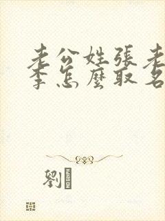 老公姓张老婆姓李怎么取名字